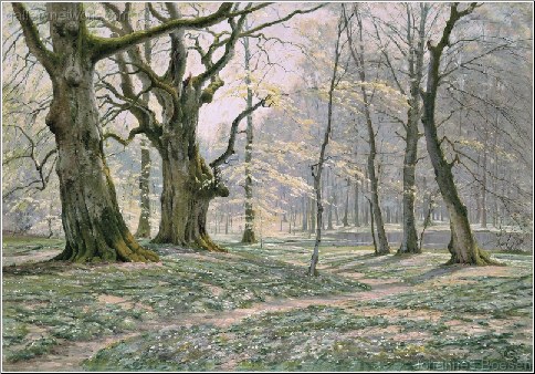 A Beechwood in Spring, 1907