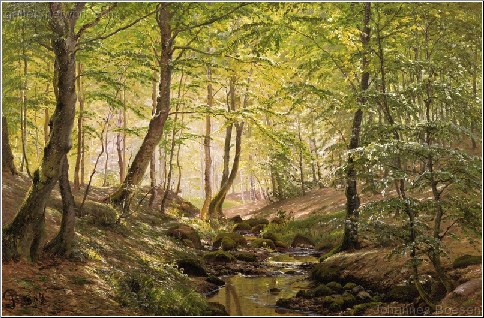 A Forest Glade, Springtime