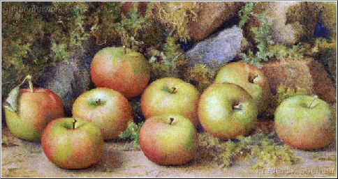 A Still Life of Apples